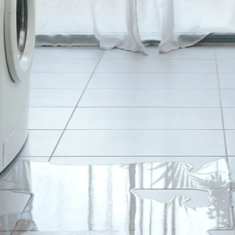 Appliance Leak Cleanup in Bells, TN