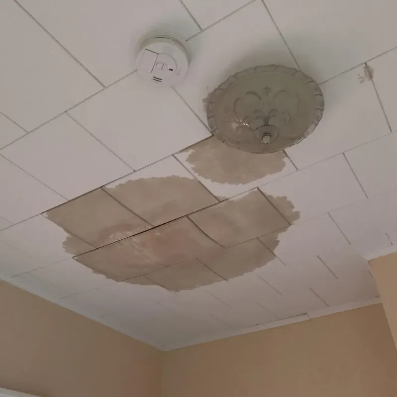 Ceiling Water Damage Repair in Bells, TN