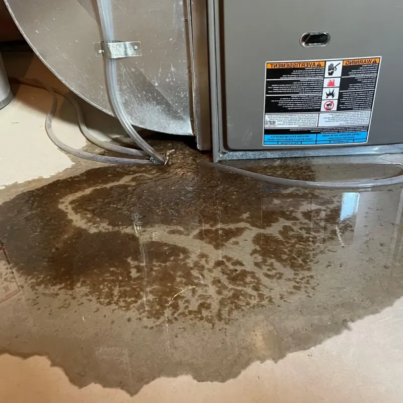 Pipe Burst and Leak Restoration in Bells, TN