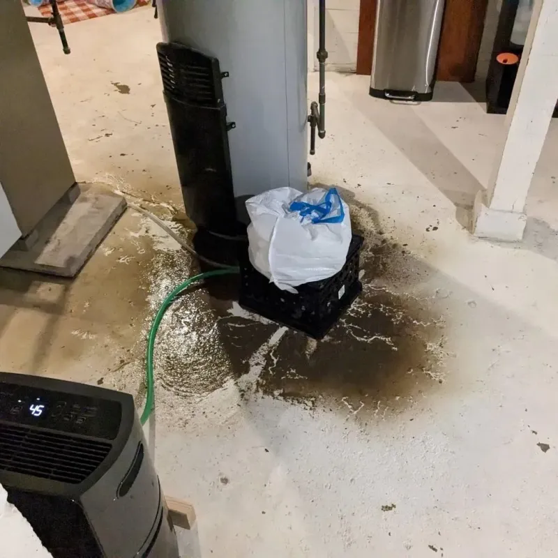Sewage Backup Cleanup Service in Bells, TN